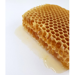 Miód pszczeli w plastrze (waga 360-400 g)