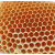Miód pszczeli w plastrze (słoik)